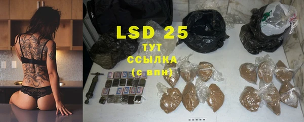 PSILOCYBIN Навашино