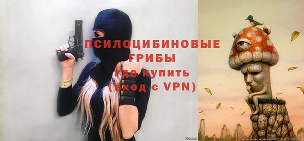 гашик Алексеевка