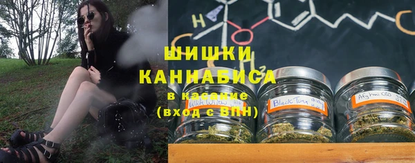 бошки Алексин
